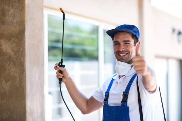 Goleta Wasp Removal