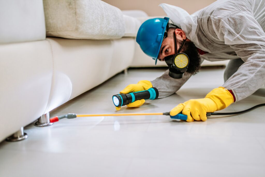 Goleta Termite Control