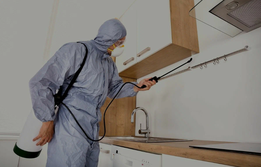 Goleta pest managment